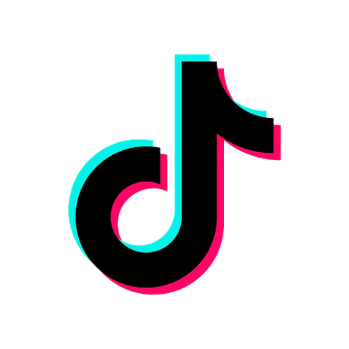 TikTok Logo